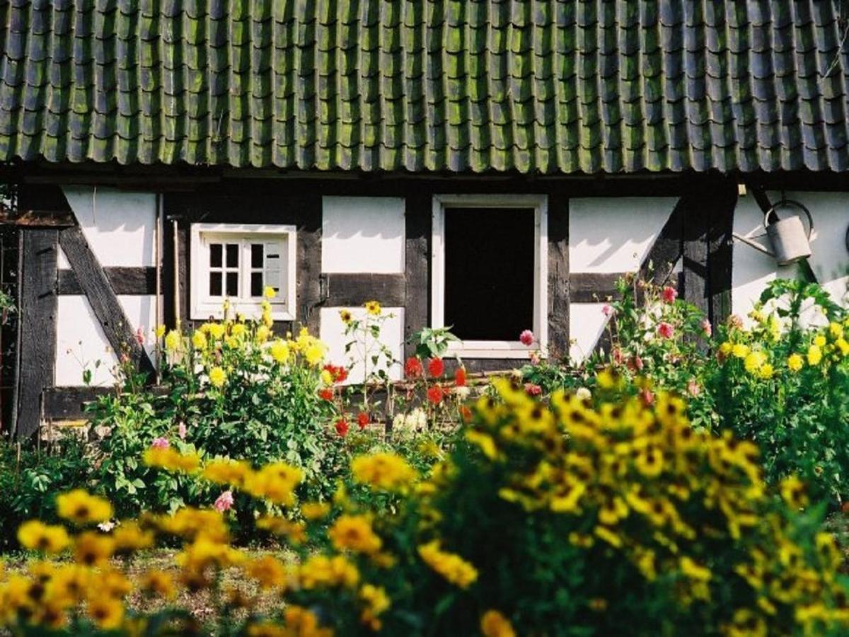 Ferienhof Richard レンネシュタット エクステリア 写真